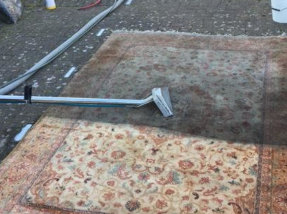 This is a photo of Blackheath Carpet Cleaning floral rug that is being steam cleaned. The bottom half has been completed and the top half is being done.