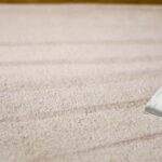This is a photo of a carpet steam cleaner cleaning a cream carpet carried out by Blackheath Carpet Cleaning.